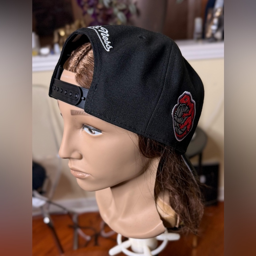 Gorgeous Raptors Cap!!! - Picture 2 of 8